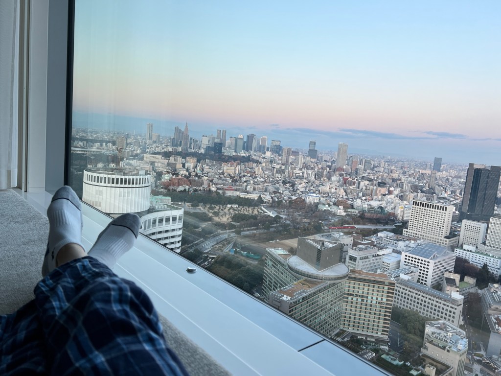 View from the Bay Window